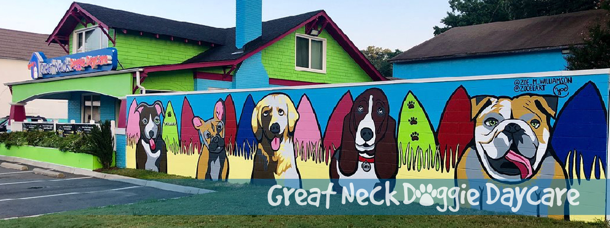 Great Neck Doggie Daycare & Boarding